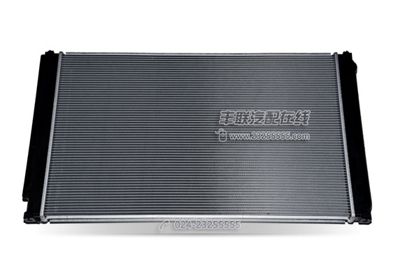 實篤　柘榴図　共箱　MA895 實篤柘榴図共箱MA895